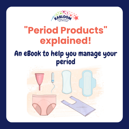 'Period Products' Explained eBook